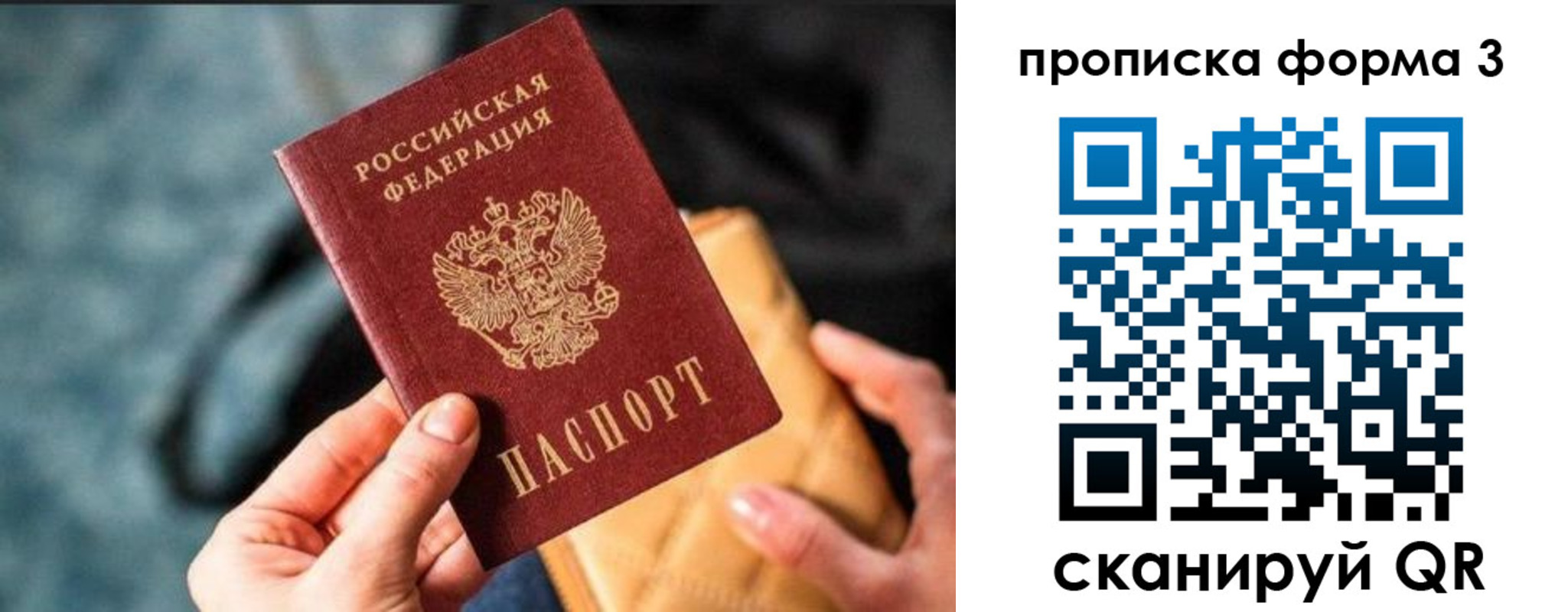 прописка гарантия в Невеле